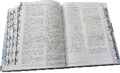 Highlighted Bible Open